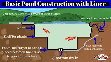 pond excavation guide